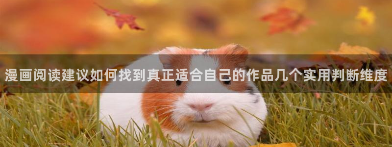 七七漫画人气漫画推荐：漫画阅读建议如何找到真正适合自己的作品几个实用判断维度